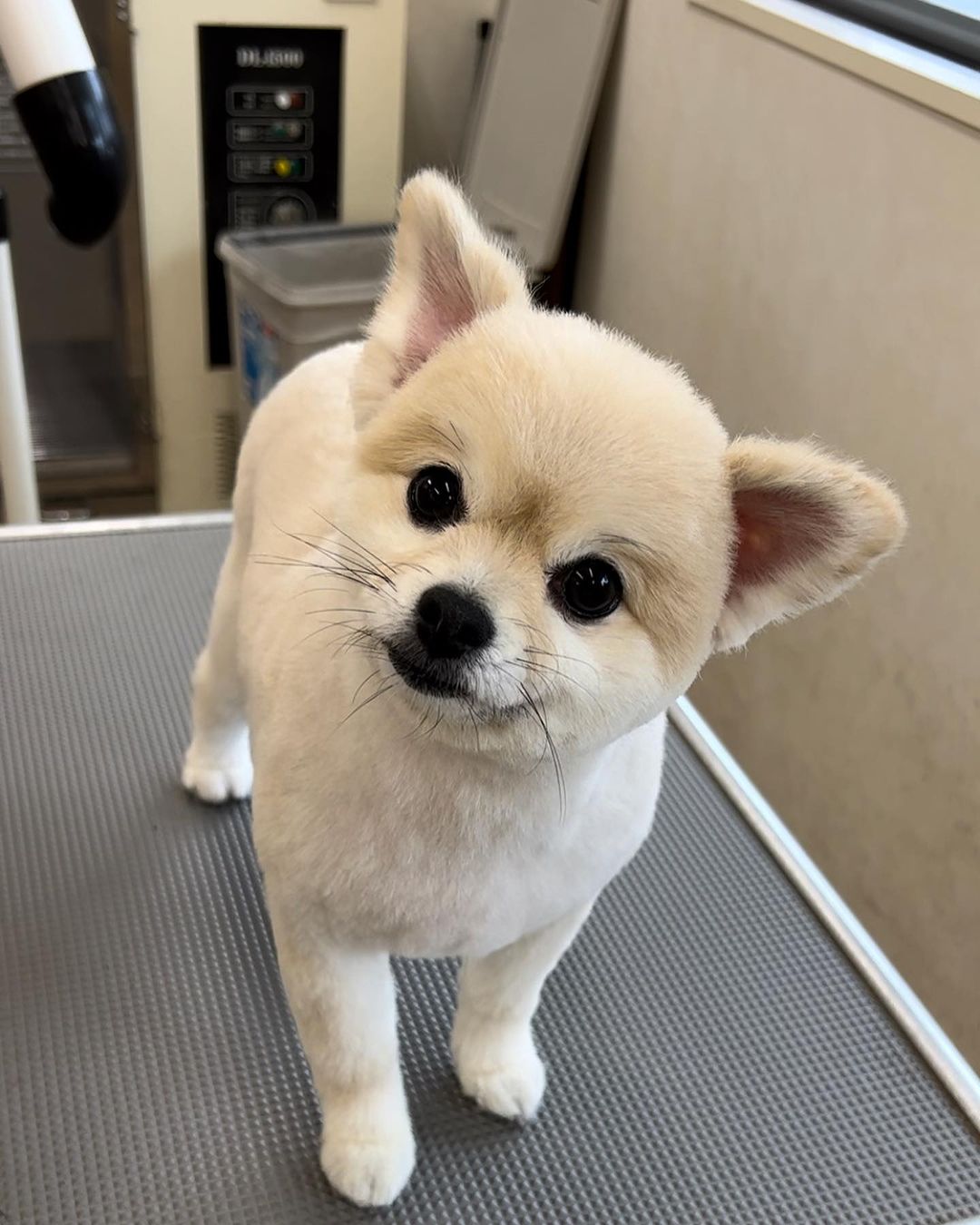 店舗イメージ