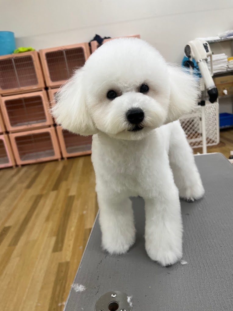 店舗イメージ