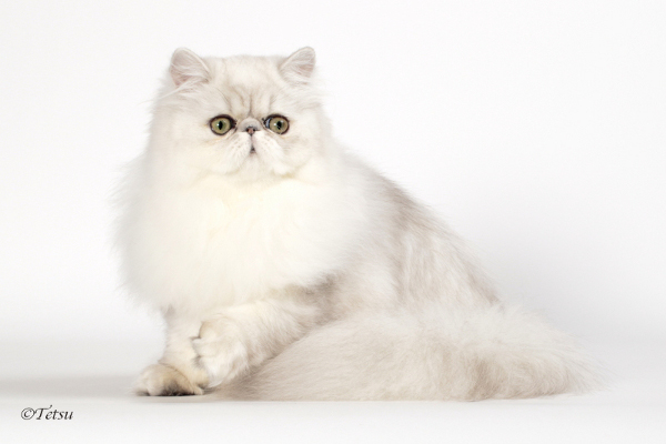 店舗イメージ