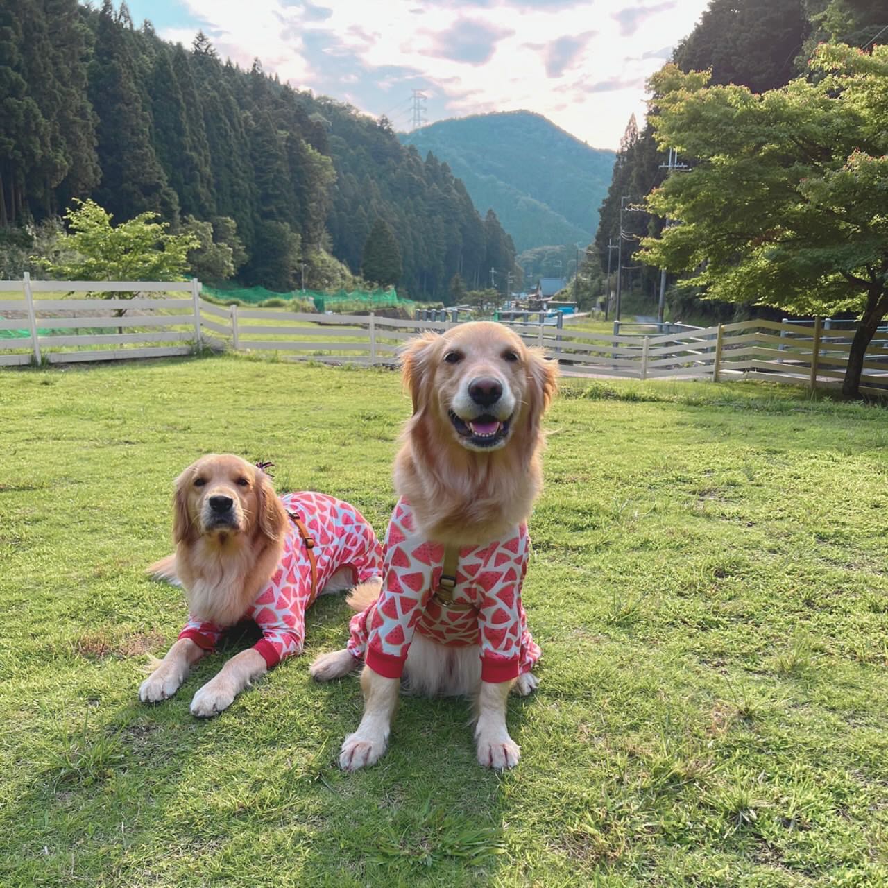 店舗イメージ
