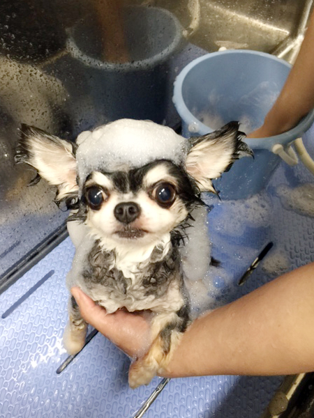 店舗イメージ