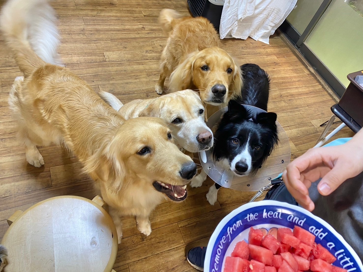 店舗イメージ