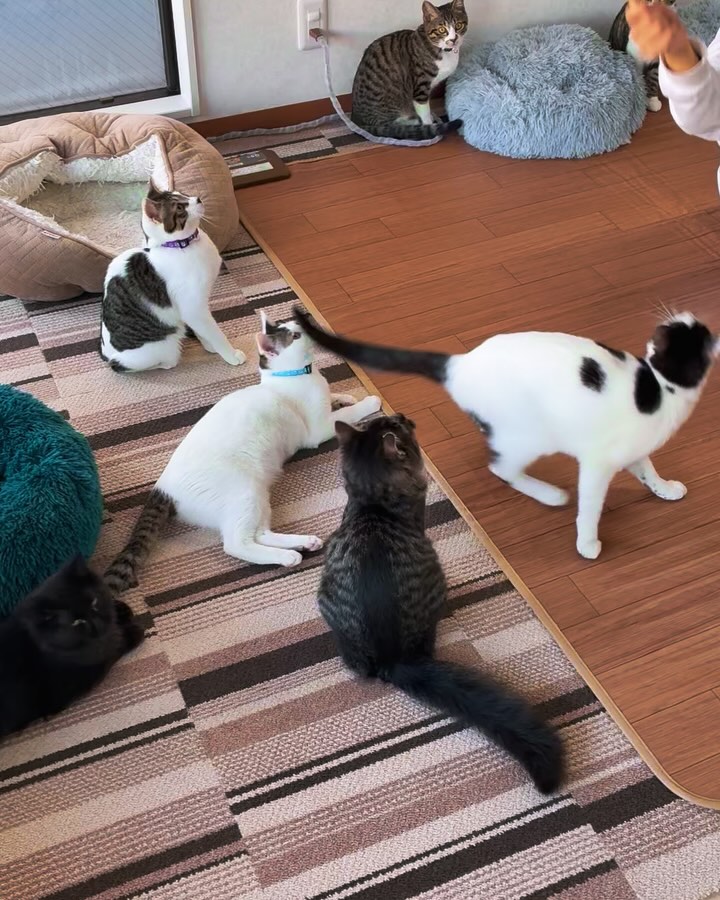 店舗イメージ