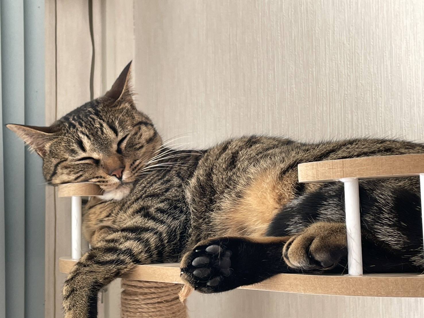 店舗イメージ